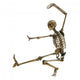 Human Karate Skeleton Wall Decal