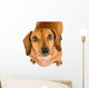 Begging Dachshund Puppy Wall Decal