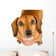 Begging Dachshund Puppy Wall Decal