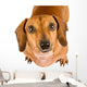 Begging Dachshund Puppy Wall Decal