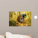 Mountainbiker Rides Autumn Forest