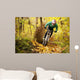 Mountainbiker Rides Autumn Forest