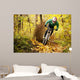 Mountainbiker Rides Autumn Forest