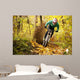 Mountainbiker Rides Autumn Forest
