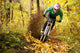 Mountainbiker Rides Autumn Forest