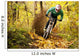 Mountainbiker Rides Autumn Forest