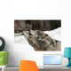 Howling Wolves Wall Mural