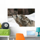 Howling Wolves Wall Mural