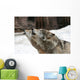 Howling Wolves Wall Mural