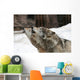 Howling Wolves Wall Mural