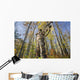bow hunter aiming Wall Mural