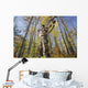 bow hunter aiming Wall Mural