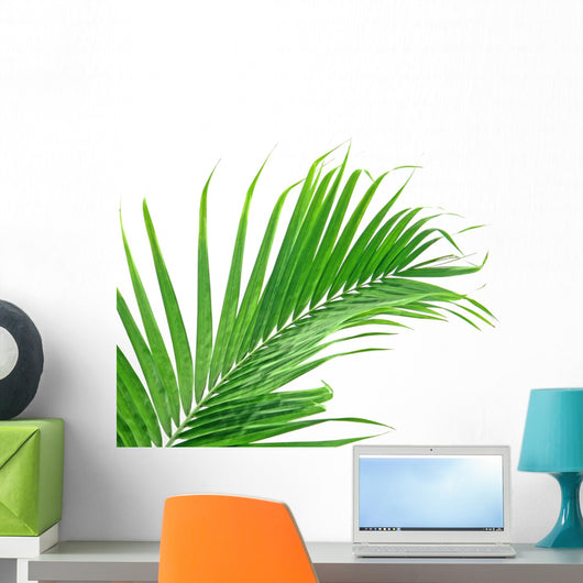 Palme Verte Sur Fond Wall Mural