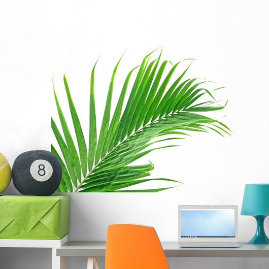 Palme Verte Sur Fond Wall Mural