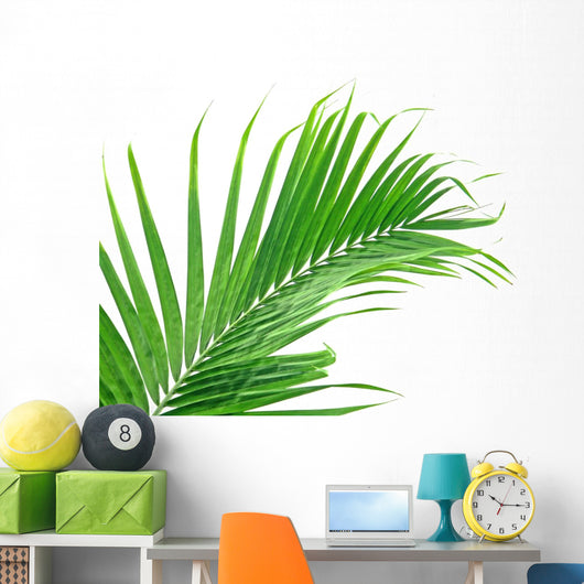 Palme Verte Sur Fond Wall Mural