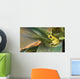 Golden Poison Dart Frog Wall Mural