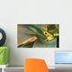 Golden poison dart frog Wall Mural