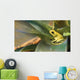 Golden poison dart frog Wall Mural