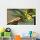 Golden poison dart frog Wall Mural