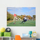 Lefty Corner Kick Wall Mural