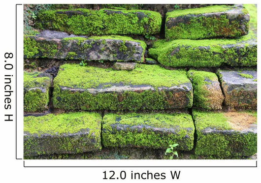 Old Stone Covered Moss