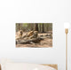 Komodo Dragon Wall Mural
