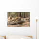Komodo Dragon Wall Mural