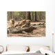 Komodo Dragon Wall Mural