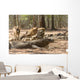 Komodo Dragon Wall Mural