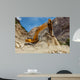 Road Construction Himalayas