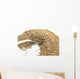 Dried Anise and Spoon Wall Mural