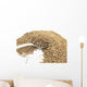 Dried Anise and Spoon Wall Mural