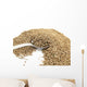 Dried Anise and Spoon Wall Mural