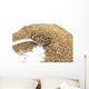 Dried Anise and Spoon Wall Mural
