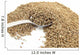 Dried Anise and Spoon Wall Mural