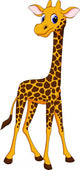 Cute Giraffe Cartoon