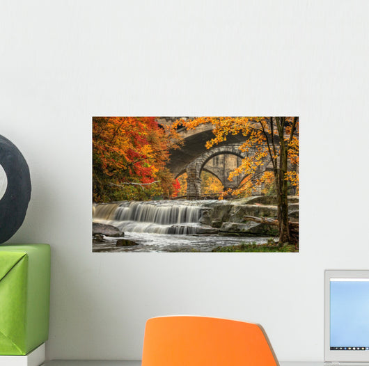Berea Falls In Autumn Wall Mural