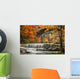 Berea Falls In Autumn Wall Mural