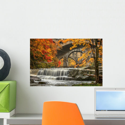Berea Falls In Autumn Wall Mural