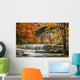 Berea Falls In Autumn Wall Mural
