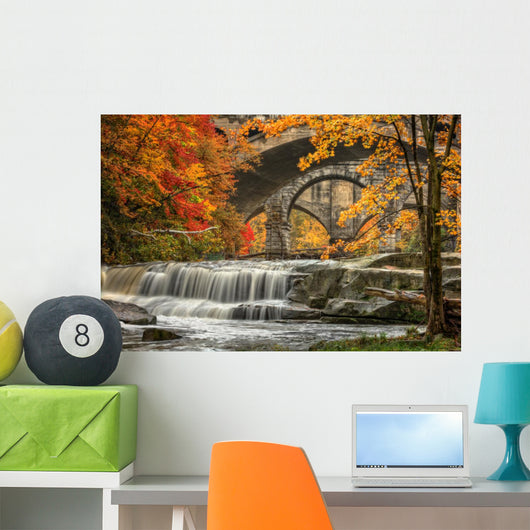 Berea Falls In Autumn Wall Mural