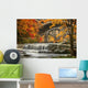 Berea Falls In Autumn Wall Mural