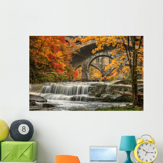 Berea Falls In Autumn Wall Mural