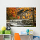 Berea Falls In Autumn Wall Mural