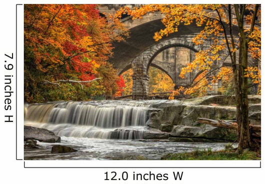 Berea Falls In Autumn Wall Mural