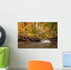 Waterfall In Autumn Wall Mural