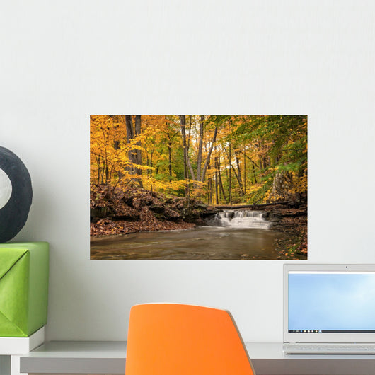 Waterfall In Autumn Wall Mural