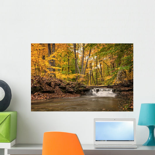 Waterfall In Autumn Wall Mural