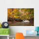 Waterfall In Autumn Wall Mural
