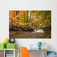 Waterfall In Autumn Wall Mural